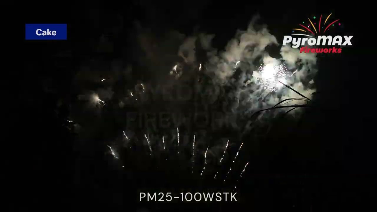 PM25-100WSTK