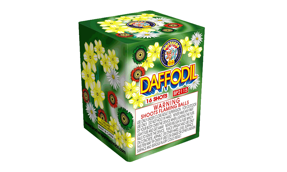 Daffodil  16s