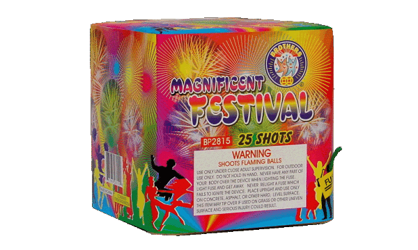 Magnificent Festival  25s