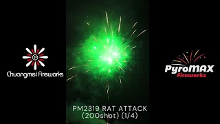 Rat Attack