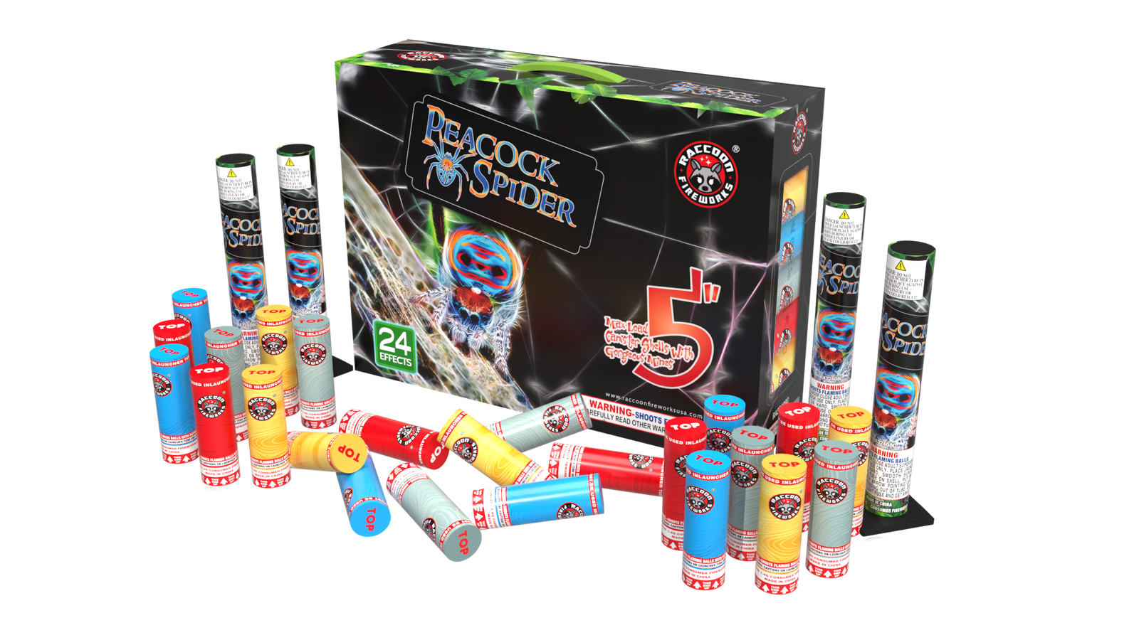 Peacock Spider Compact Box 24'S