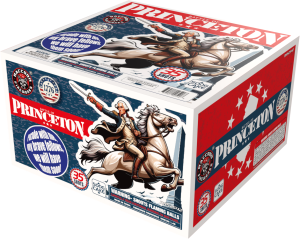 Battle of Princeton 36'S