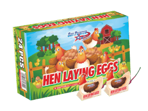 HEN LAYING EGGS
