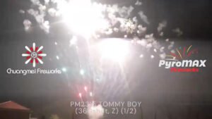 TOMMY BOY (360Shot, Z)