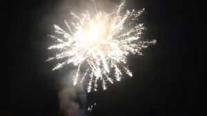 SKY RIPPER (177Shot, I Z Fan)