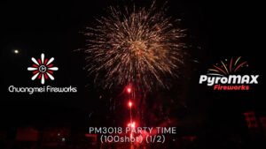 PARTY TIME (100Shot)