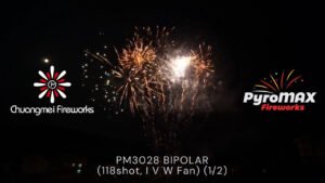 BIPOLAR (118Shot, I V W Fan)