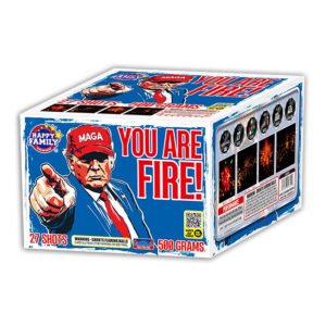 YOU ARE FIRED!