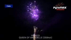 QUEEN OF ARENDELLE (25SHOT)